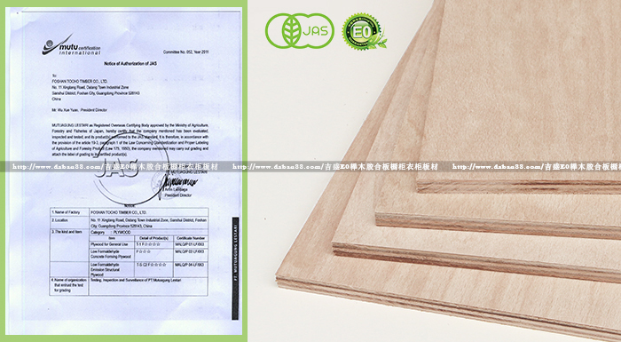 吉盛唐朝：榉木胶合板有机JAS认证F4（F★★★★级）详解标准